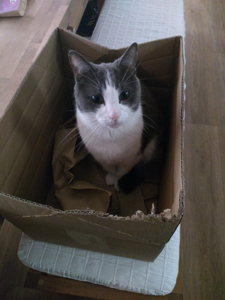 What's your DCat up to today? (Thread 7!)