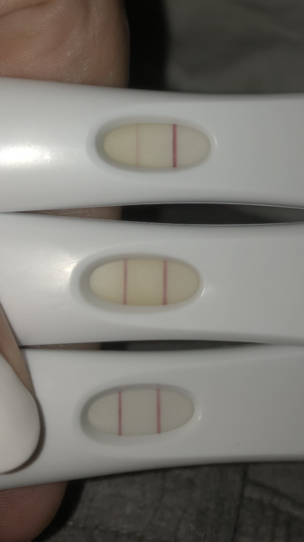 Is today’s FRER darker?