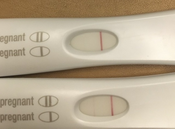 FRER at 10 and 11dpo