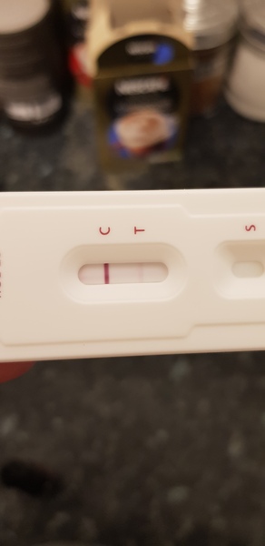 TWW Jan/Feb 2020