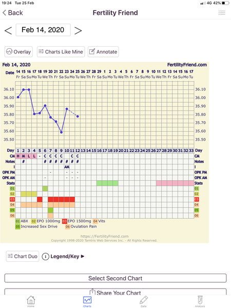 What do we think of this OPK, positive??
