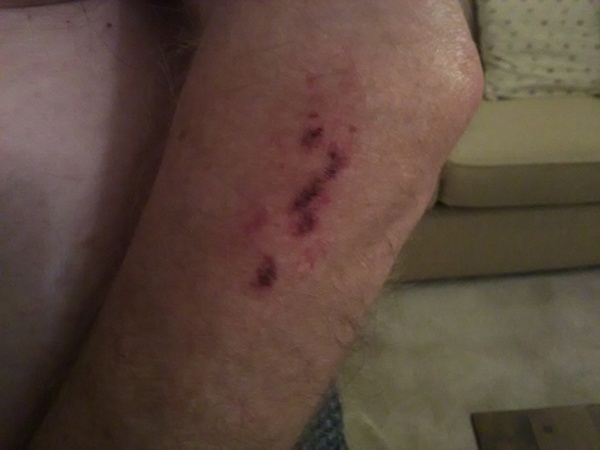 Does anyone know what this is?