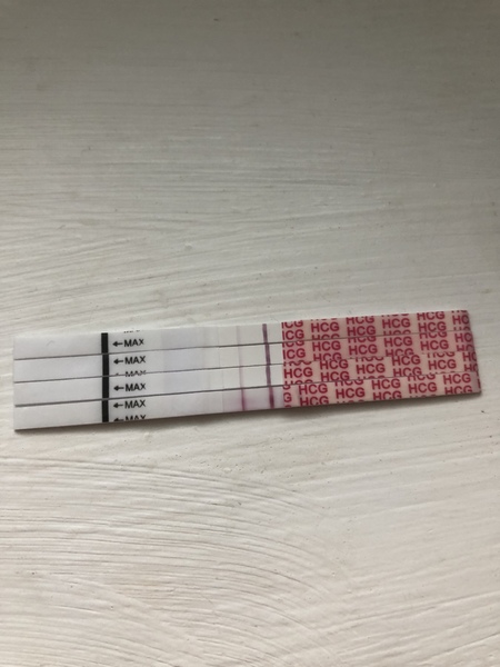 Is today’s FRER darker?
