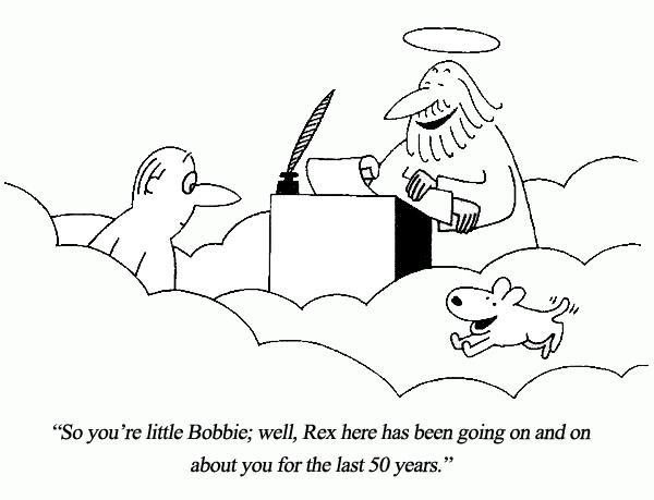 Dog being PTS and it’s torture
