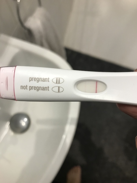 7-8dpo