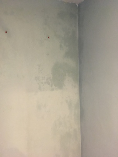 Damp in bedroom