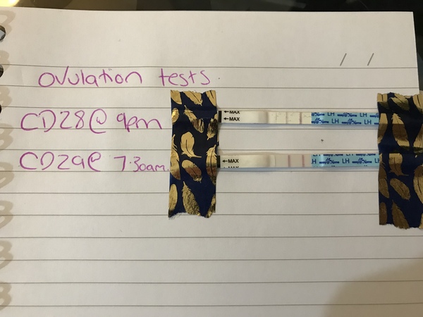 TTC after miscarriage - February 2020
