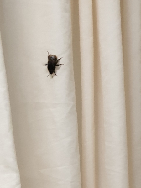 Wankerbastards move to 2020. With moderatin' a plenty. We rage against flouncers, strops and teens, and of dryness we have big dreams. We want teacups not fuckups!