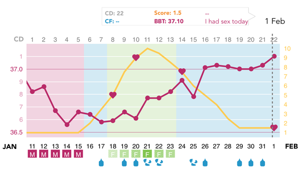Ovulation Corner