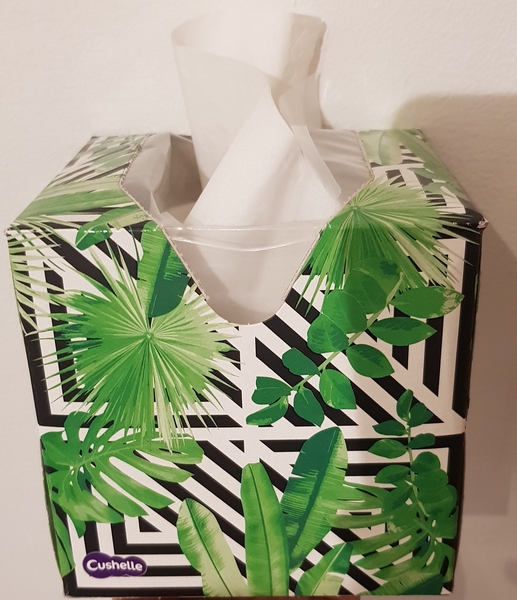 See what MNers thought of Cushelle Facial tissues (reported to not fall apart in the wash!)