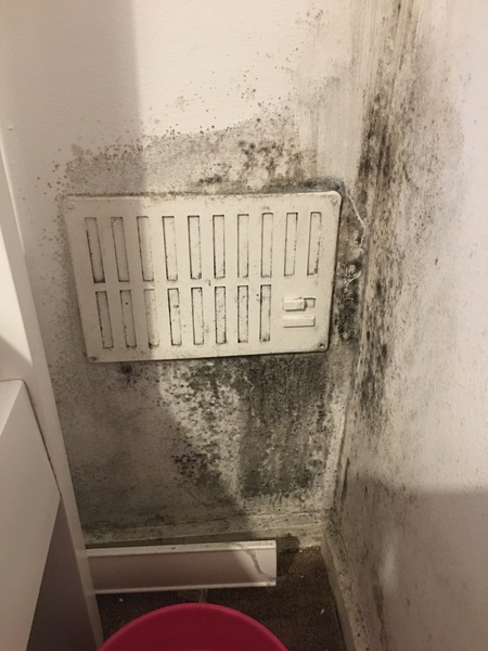 Is this mould or condensation? *photo*