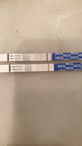 Anyone testing beginning of Feb?