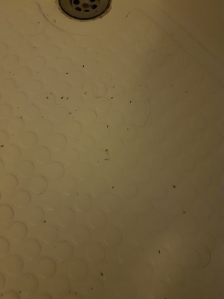Ewwwwww - is this what I.think it is?
