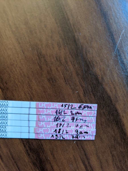 Ovulation test lines