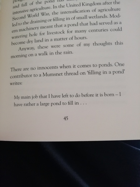 50 Book Challenge 2020 Part Two