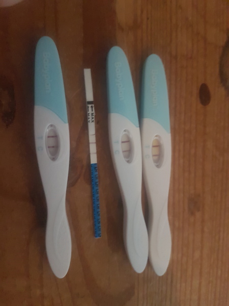 Very Strong Positive OPK 3 days after period ??!