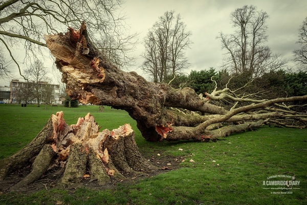 Has the storm hit your area yet?
