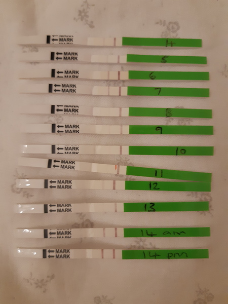 Does this look like positive opk??!!