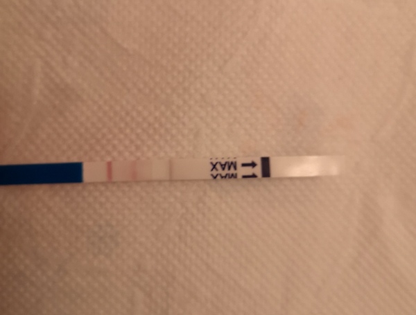 7-8dpo