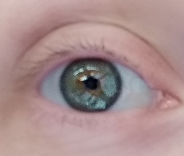 What colour are my eyes? (Photo attached)