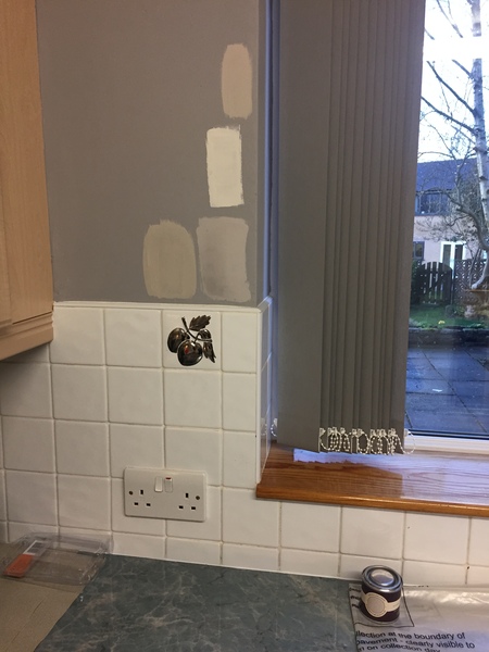 Paint for small North West facing kitchen