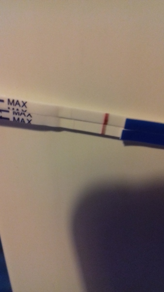 TTC after early miscarriage- 1st cycle, 10dpo..faint squinter?!