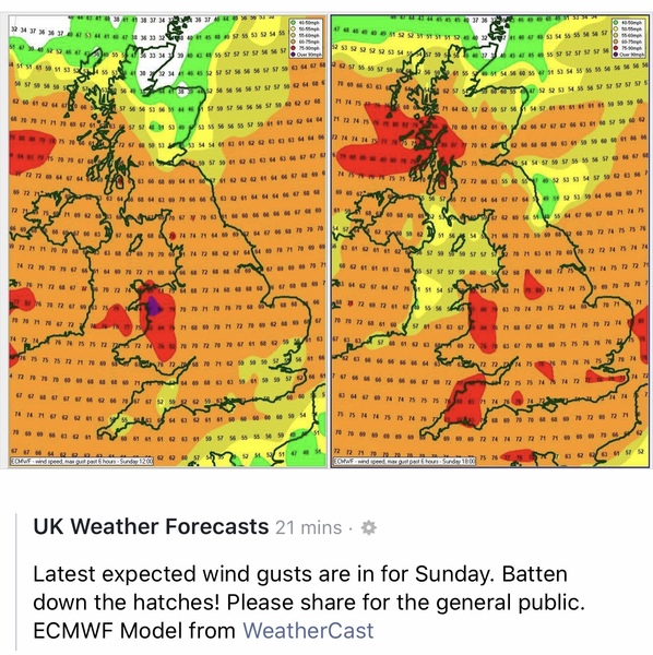 Storm Clara - would you travel on Sunday?