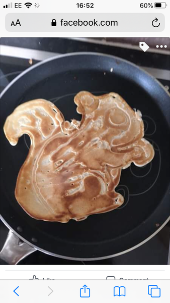 Can I please show off my squirrel pancakes!