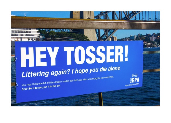 Do You drop litter?