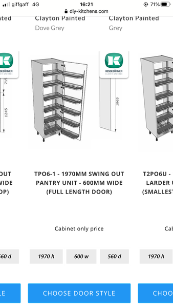 Pull/swing out larder or just shelves ?