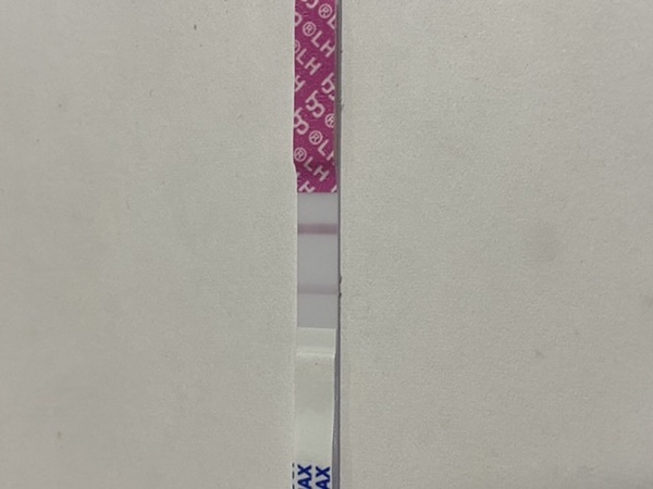 Anyone got positives on opk’s in 2ww and was indeed pregnant?