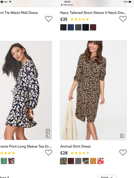 Is leopard print unprofessional?