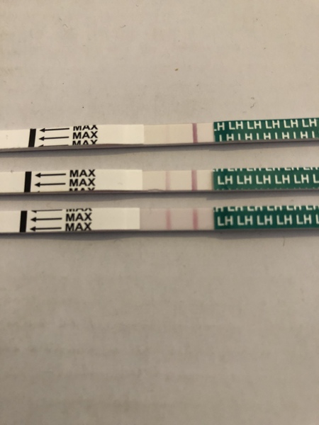 On CD 13 of SMEP.. is this a positive OPK?