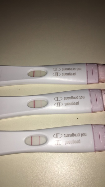 TWW Jan/Feb 2020