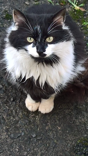 What's your DCat up to today? (Thread 7!)