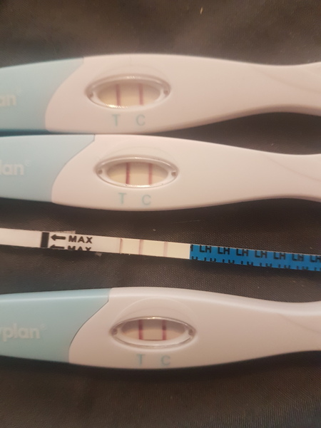 Very Strong Positive OPK 3 days after period ??!