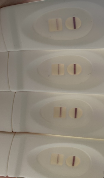 Ovulation tests always negative