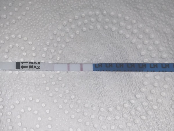 OPK line help please!
