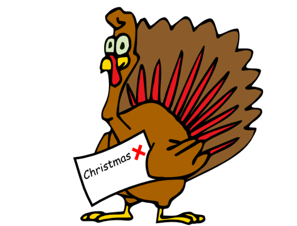 Angela Rayner says you can only be a Labour member if you believe TWAW