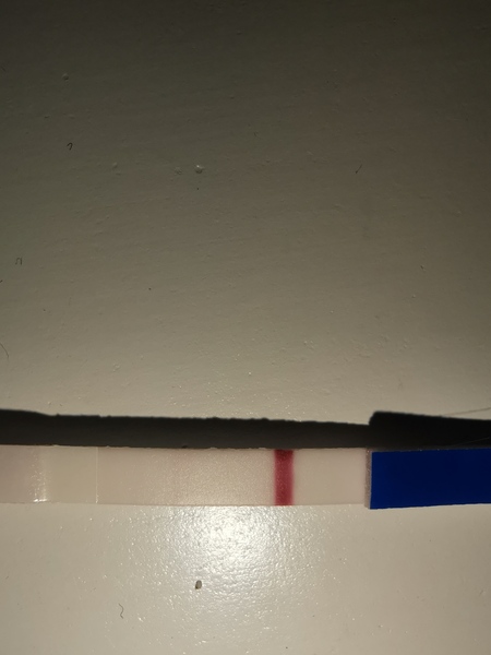 Feb Bus Pt 2
