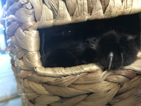 It is one o clock in the morning, I need the night shift to mind my worries whilst I sleep....