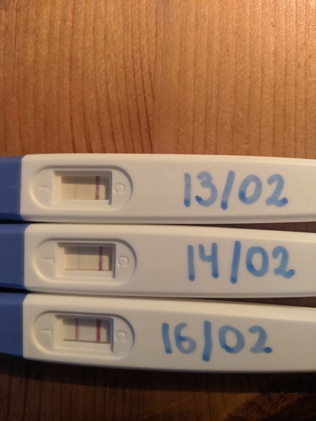 Bleeding but BFP