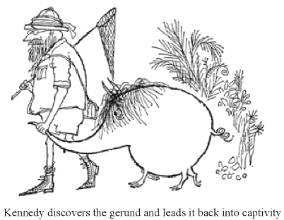 Can you please help me work out what animal I just saw