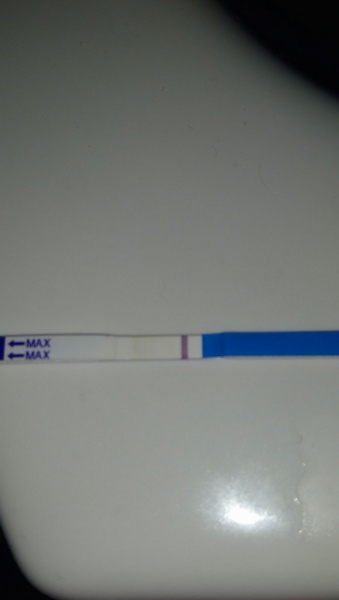 Pregnancy test