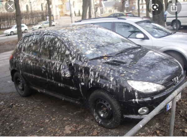 Damage to parked cars on pavements by prams without persecution?
