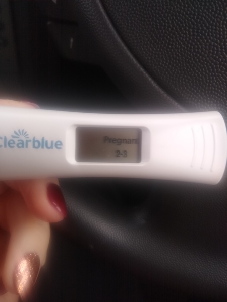 Bfp