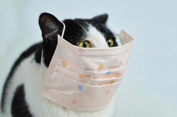 Broadcasters should not show Chinese people on their Coronavirus display during the news article