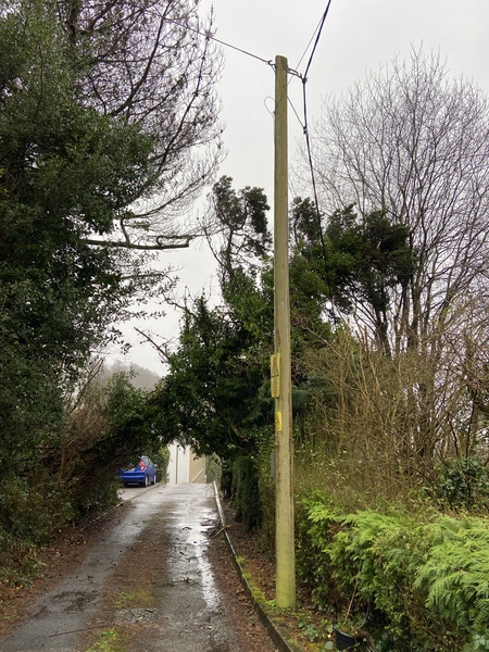 Storm Ciara forecasts and reports