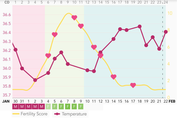 TTC after miscarriage - February 2020