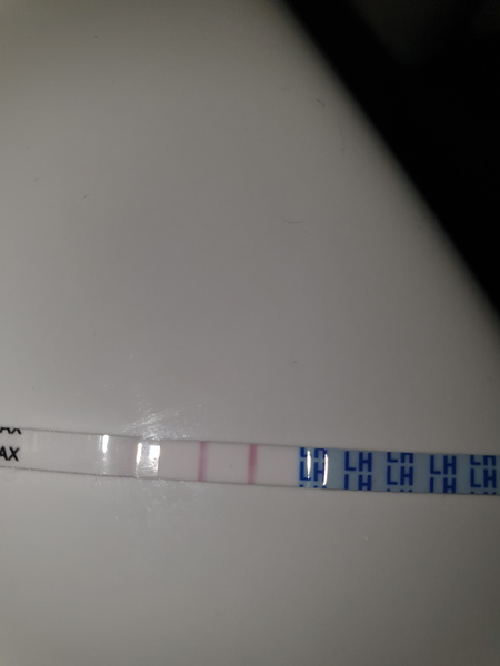 Experienced help please